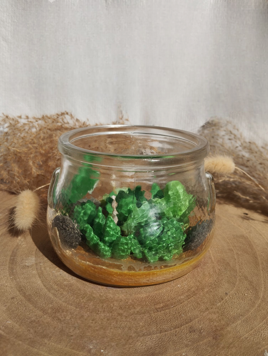 Terrarium fleuri